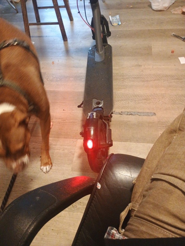 Electric Scooter