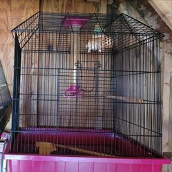 Large bird Cage With Accessories 