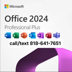 Microsoft Office 2024 Professional