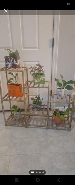 7 real indoor potted plants with wood Multi-Tier Plant Stand