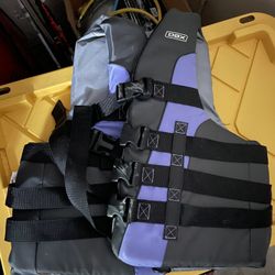 Life Vest