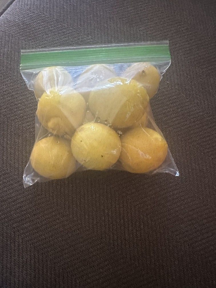 Lemons π