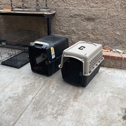 3 Medium Size Crates