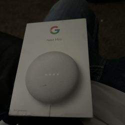 Google Nest Mini 