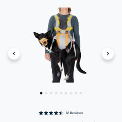 Ruffwear Dog Evacuation Kit