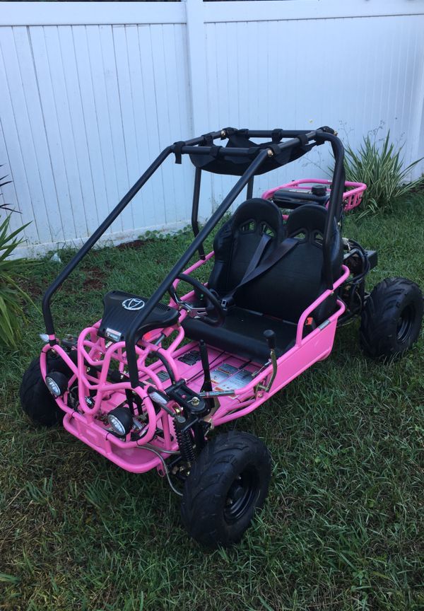 Brand New Sports Go Kart For In Sebring Fl Offerup Brand New Sports Go Kart Sebring