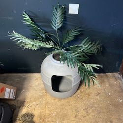 Cat Litter Box