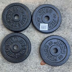 5 Lb Disk Plates 