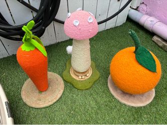 Cat Scratch Posts