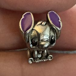 Stainless Steel charm