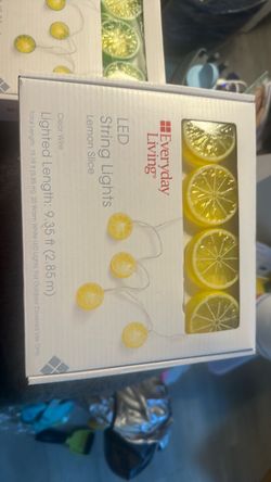 Everyday Living LED Lemon Slice String Lights