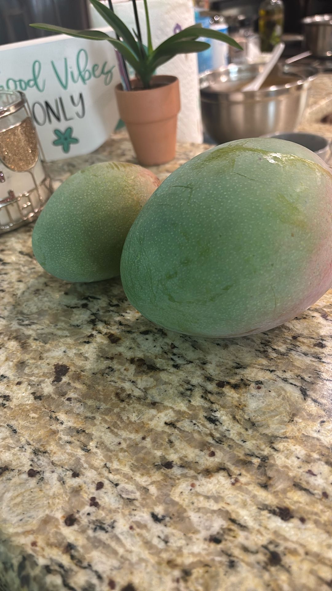 Green Mangos