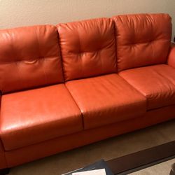 Gently Used Sofa