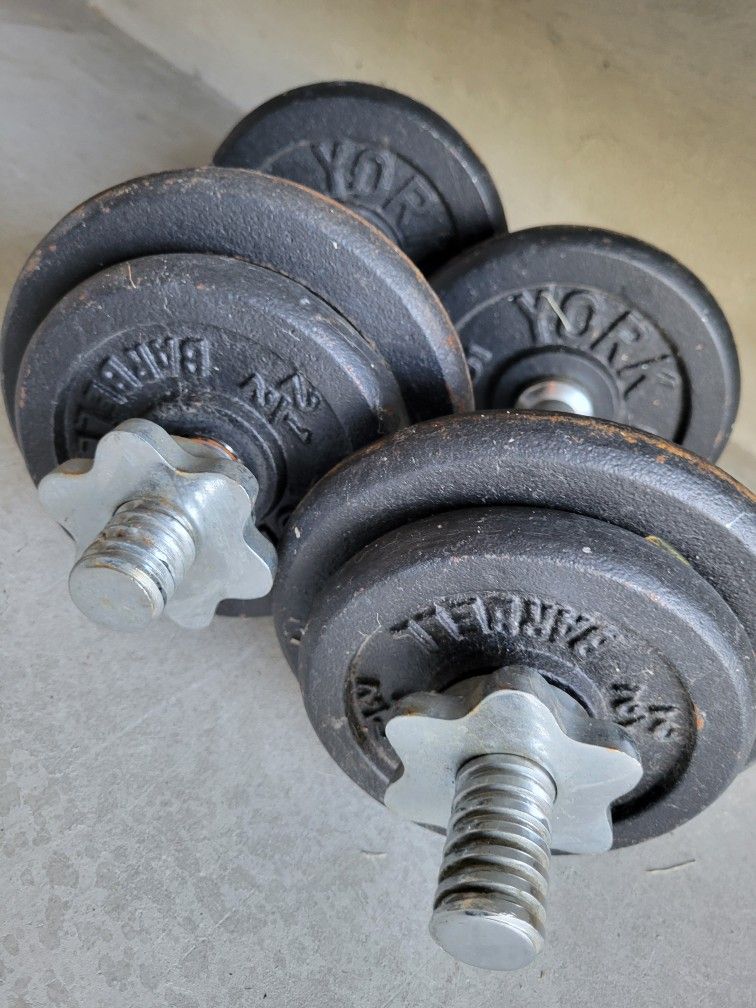 York Barbells