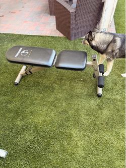 Workout bench basic