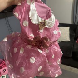 Minnie Mouse Dress Disney