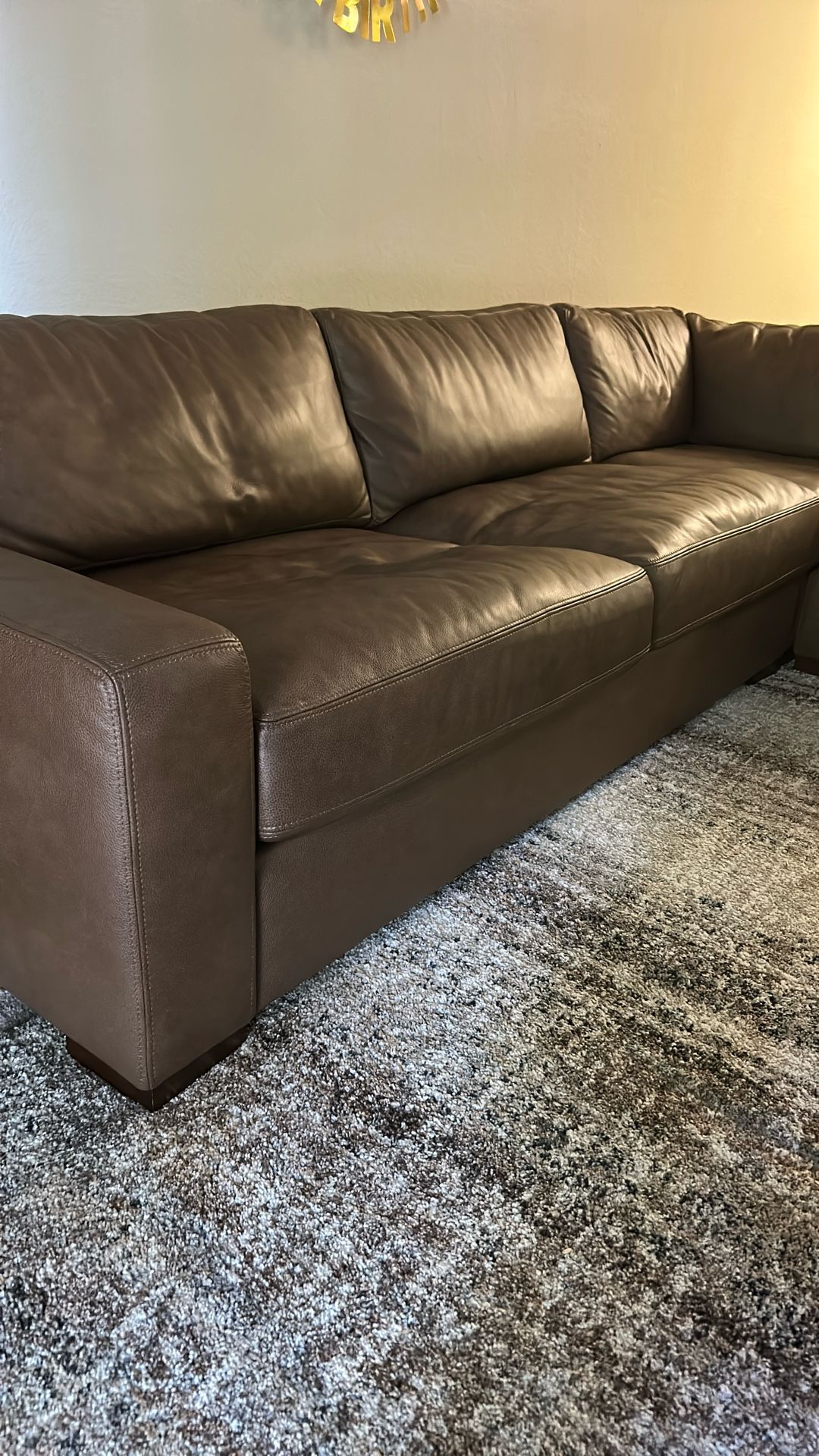 More Furniture Sofa Leather Brown Color L Type