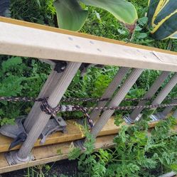 20 ' Extension Ladder 