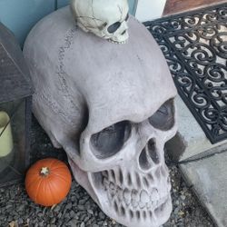 XL 2' Resin Skeleton Head