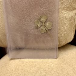 Lucky Real Four Leaf Clover 