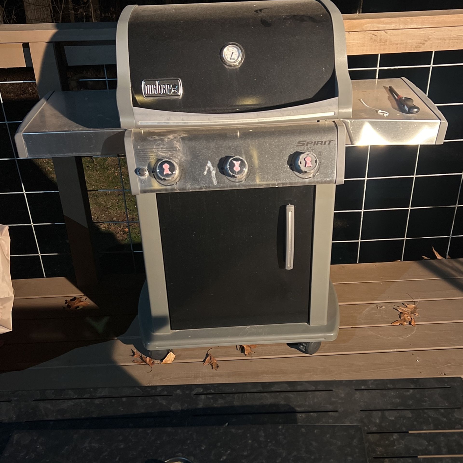 Webber Propane Grill