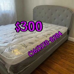 NUEVA QUEENN BEDD  IN STOCK