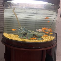 55 gallon fish tank  (can be negotiated)