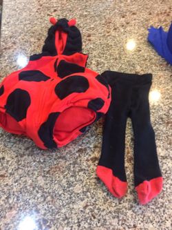 Ladybug costume