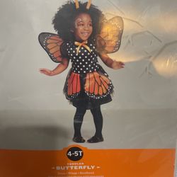 Butterfly costume