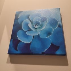 Beautiful Wall Hanging