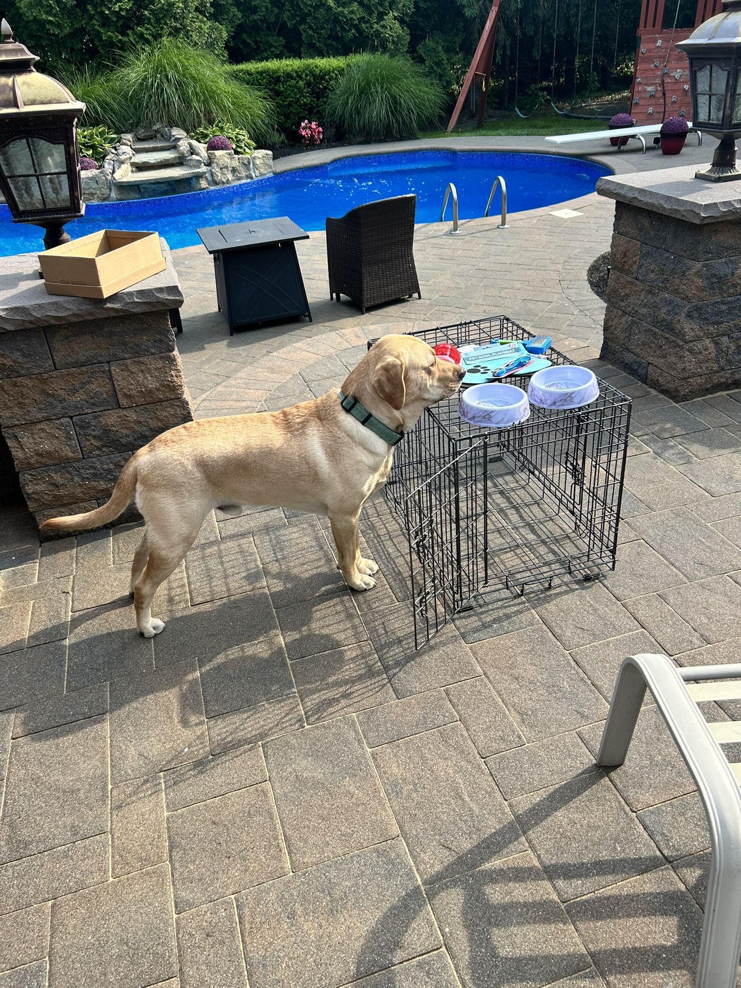 Pet Cage For Small Size Dog Or Cat