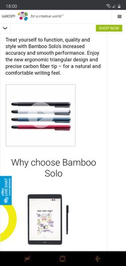 Bamboo pen