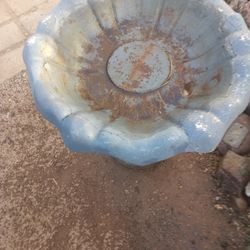 Bird Bath