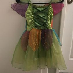 Disney Dress Costume