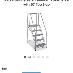 6 Step Rolling Ladders