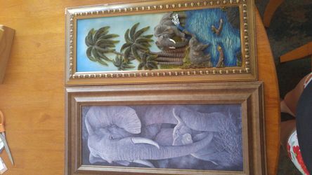 Jungle Animal Pictures