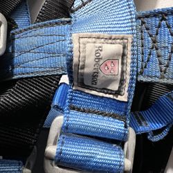 Robertson Safety Harness
