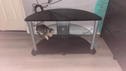 Free TV stand (Cat not included)