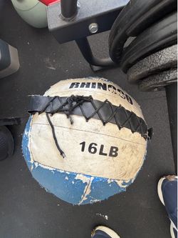 Rhino 16LB Medicine Wall Ball