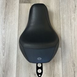 2020 Iron 883 Sportster Harley Davidson Seat