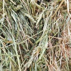 3 Way Hay