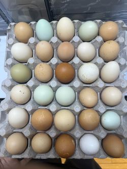 Unwashed organic eggs 🥚 🥚