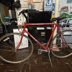 Schwinn World Traveler 13 Speed
