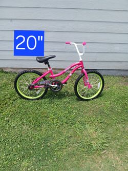 20"Girl Bike Used But Ready To Ride