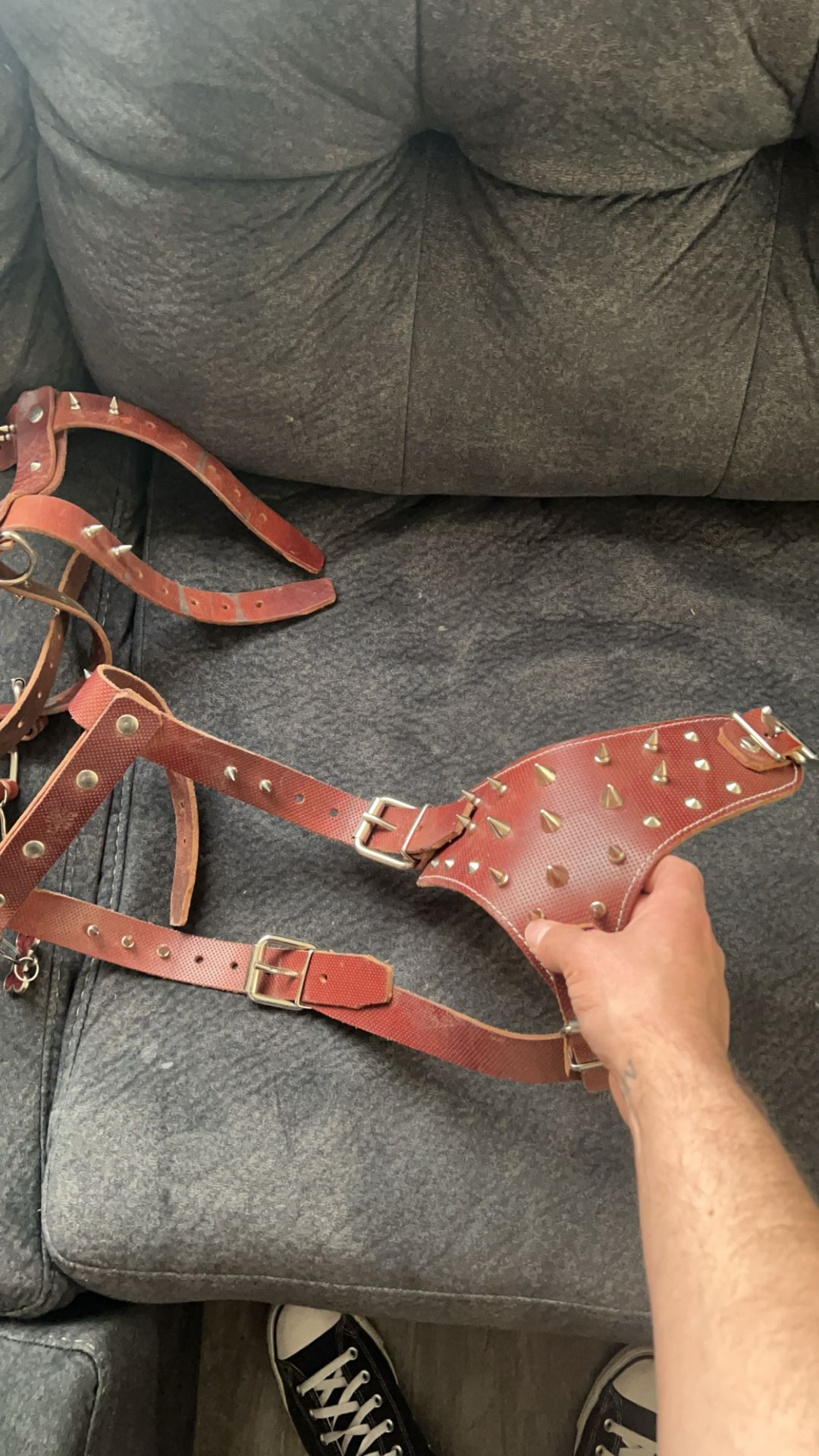 SPIKED LEATHER DOG HARNESS 