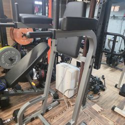 Body Solid Vertical Knee Raise and Dip