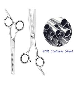 Stainless Steel Shearing scissors