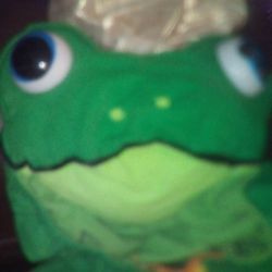 HALLOWEEN  COSTUMES  FROG   Ch Old Sz LgFrog  