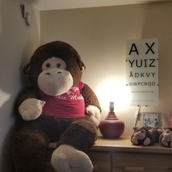 5 foot monkey