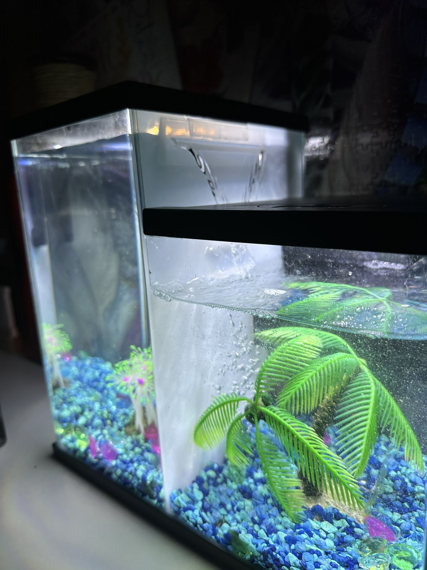 Aquarium